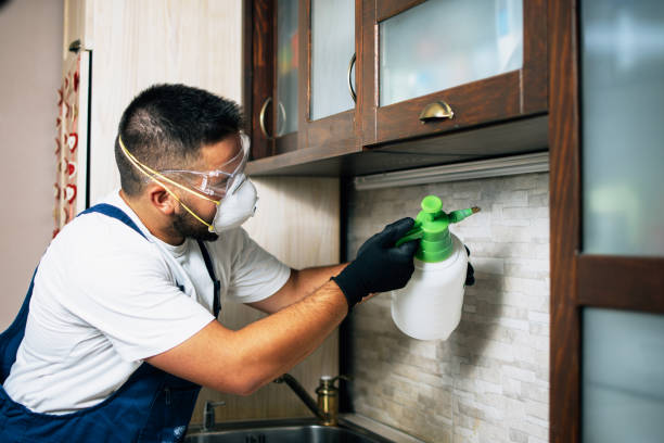 Best Emergency Pest Control  in Dexter, GA