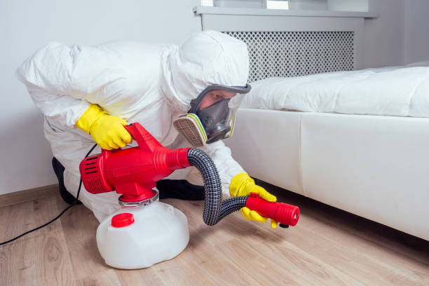 Best Affordable Pest Control Services  in Dexter, GA