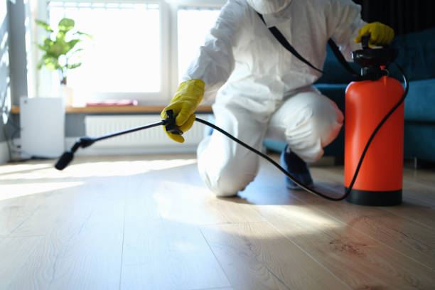 Best Best Pest Control Companies  in Dexter, GA