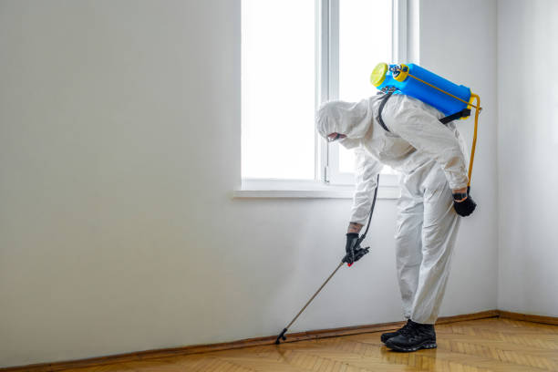 Best Mosquito Control Services  in Dexter, GA