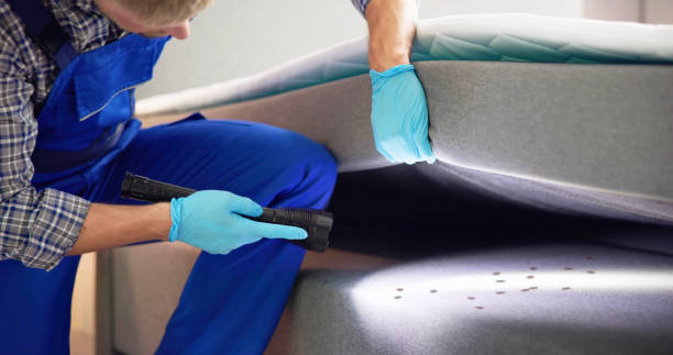 Best Termite Control Services  in Dexter, GA