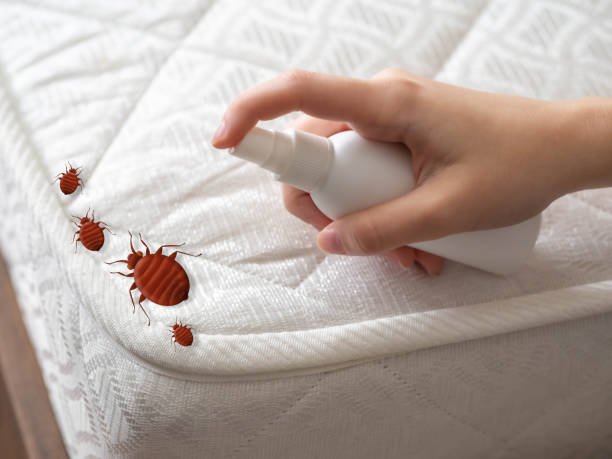 Best Pest Inspection Near Me  in Dexter, GA
