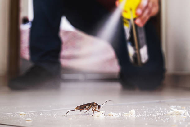 Best Affordable Pest Control Services  in Dexter, GA