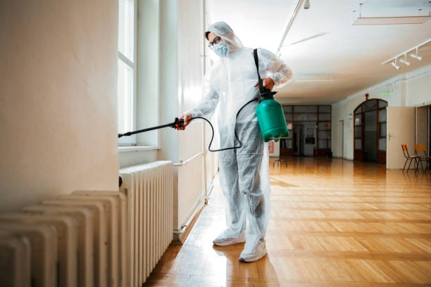 Insect Control in Dexter, GA