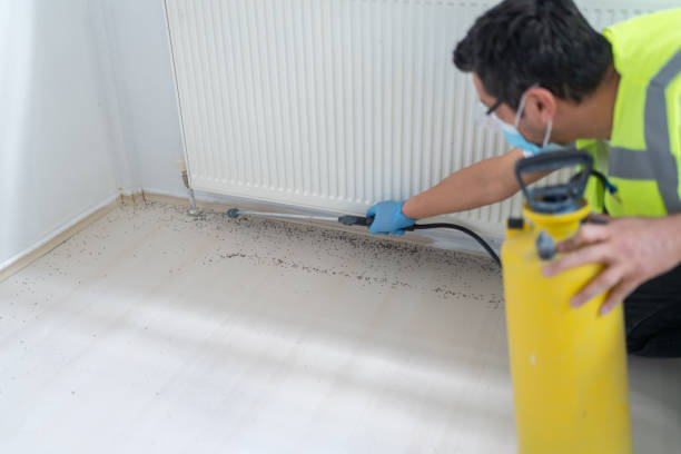 Best Exterminator Services  in Dexter, GA
